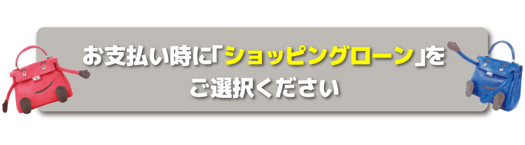 お支払い時にはショッピングローンをご選択ください